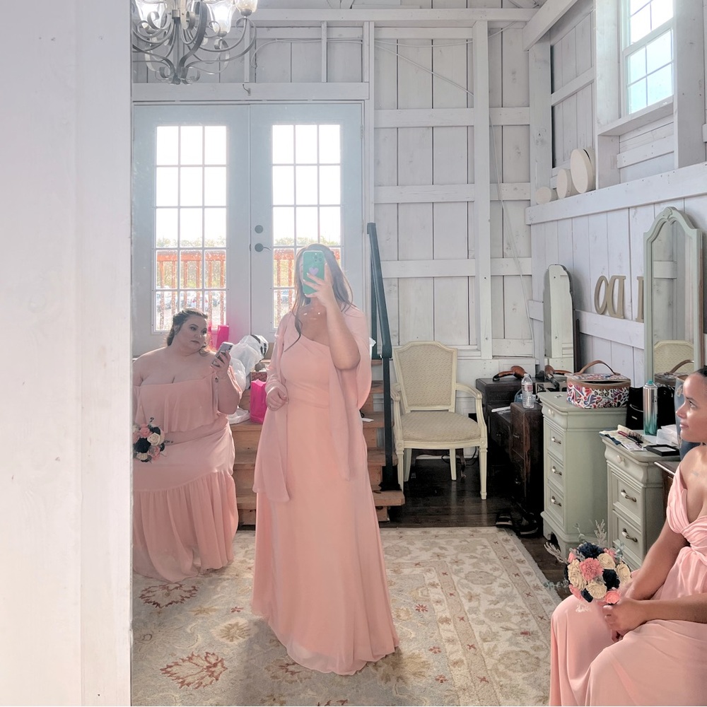 Warn once for wedding, Terry Costa/Mori Lee Madeline blush pink bridesmaid dress